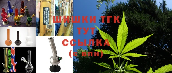 СК Дмитров